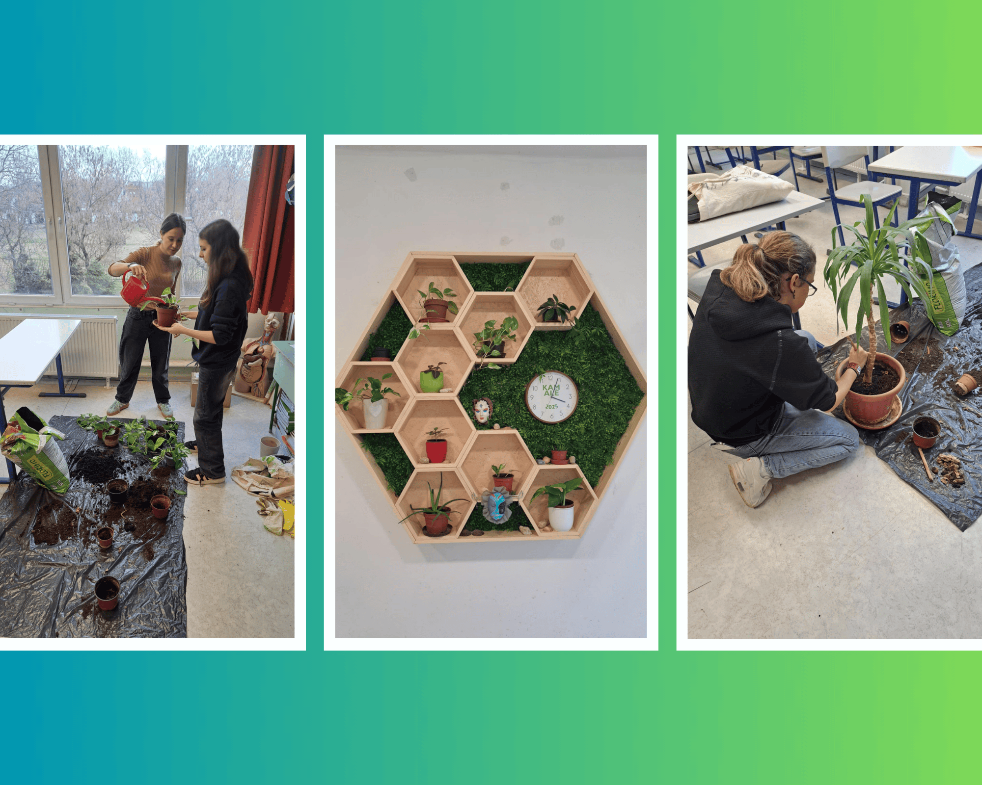 Névtelen terv (11).png