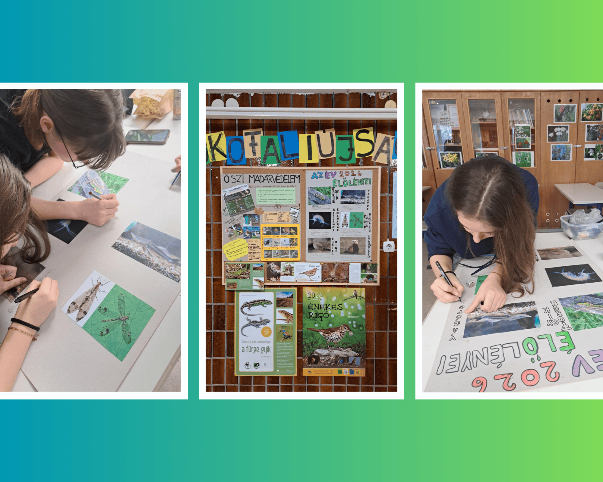 Névtelen terv (12).png