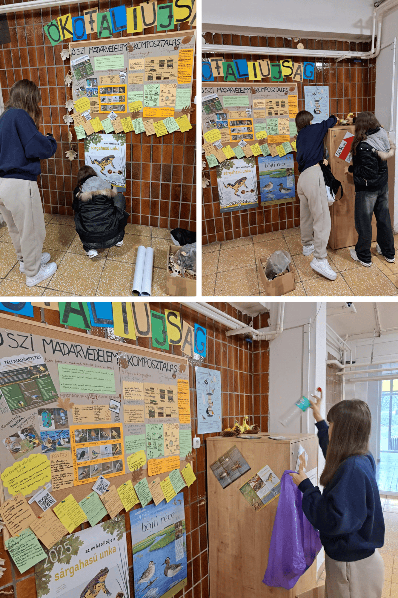 Ökofaliújság 2.png