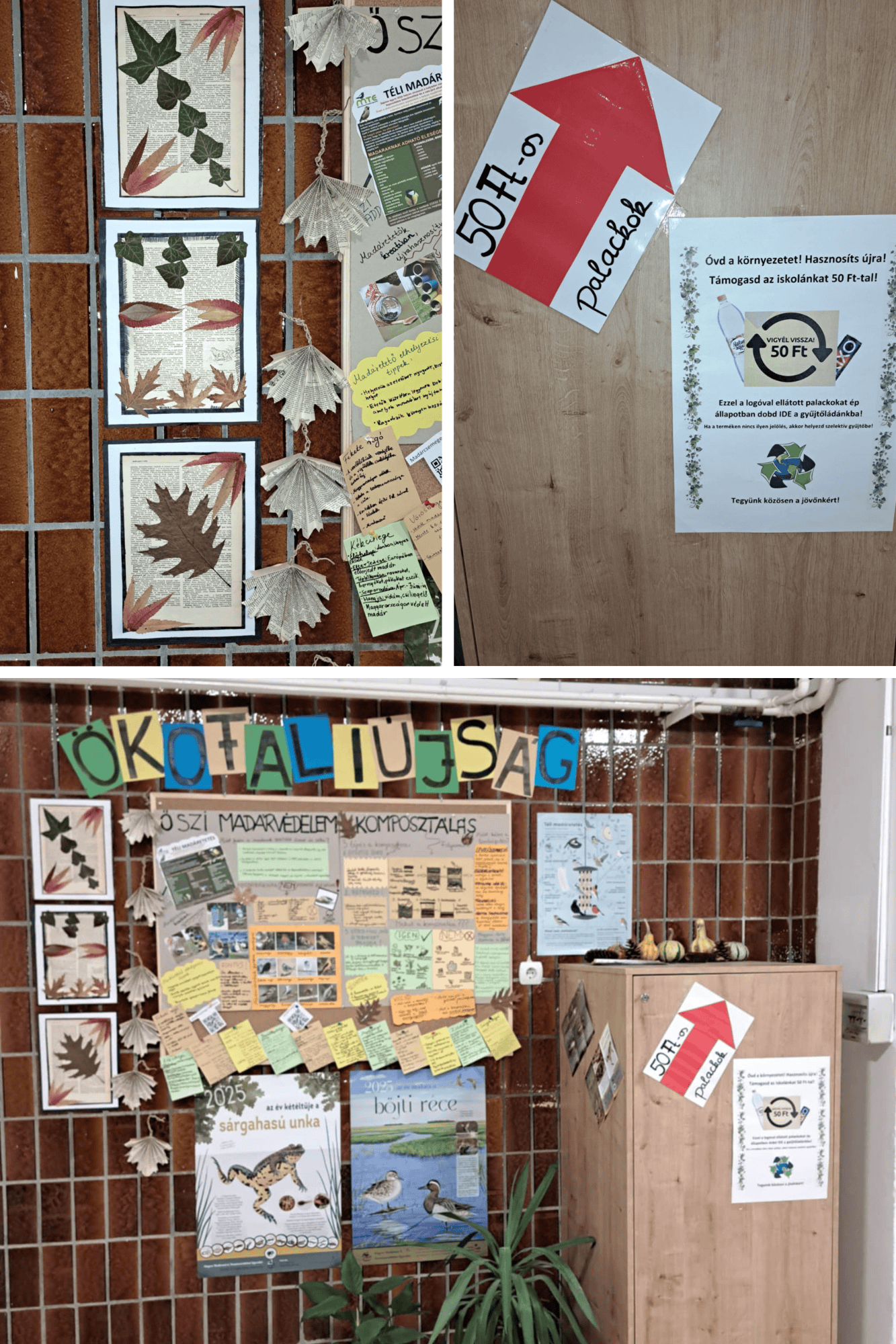 Ökofaliújság 3.png