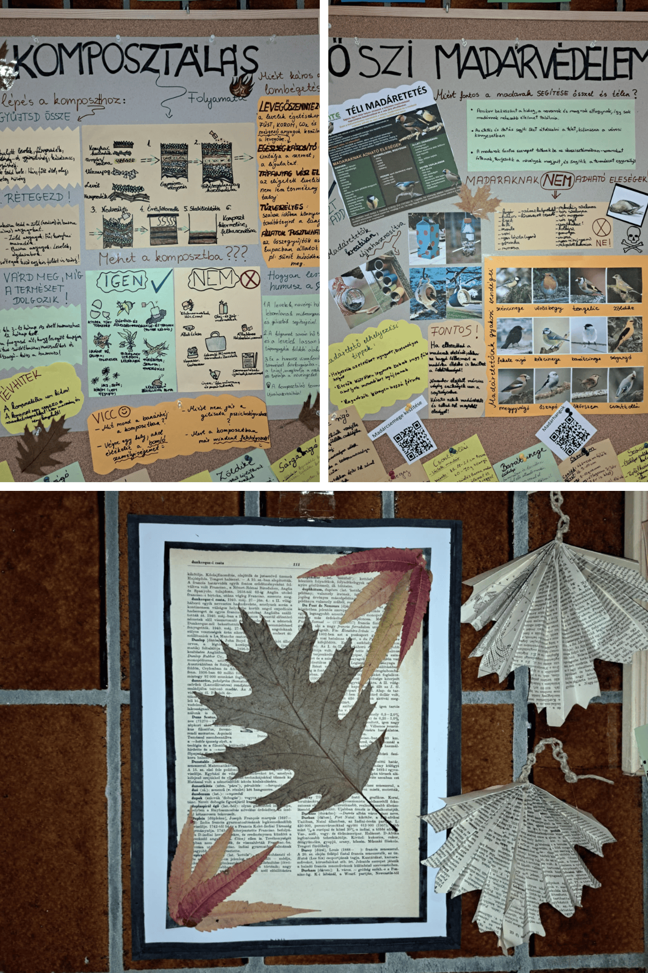 Ökofaliújság 4.png