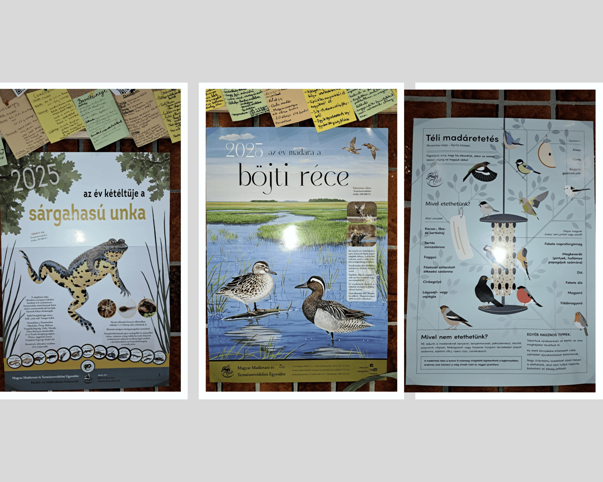 Ökofaliújság 5.png